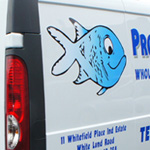 Fish Vehicle Graphics